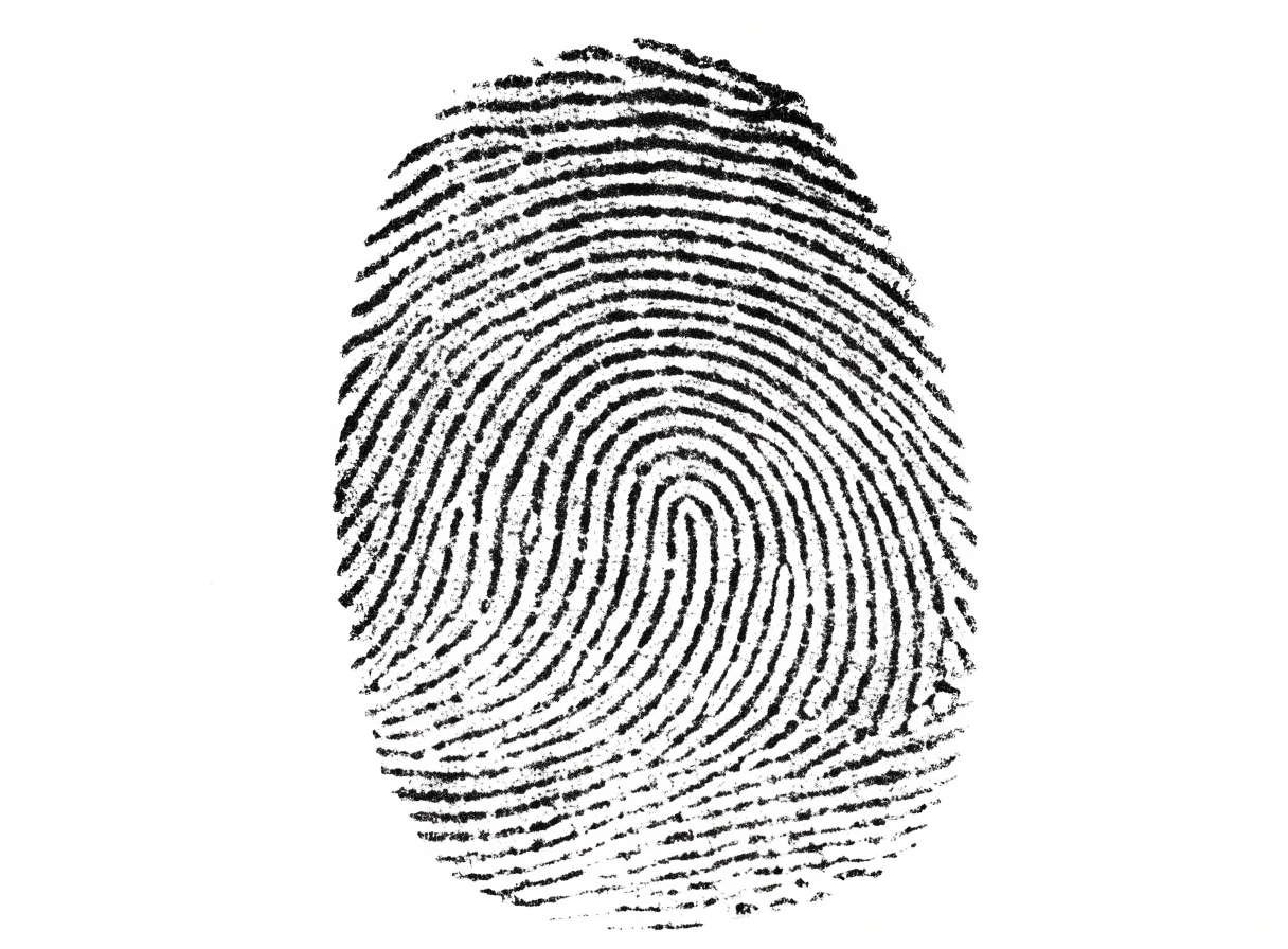A fingerprint impression in ink on white paper