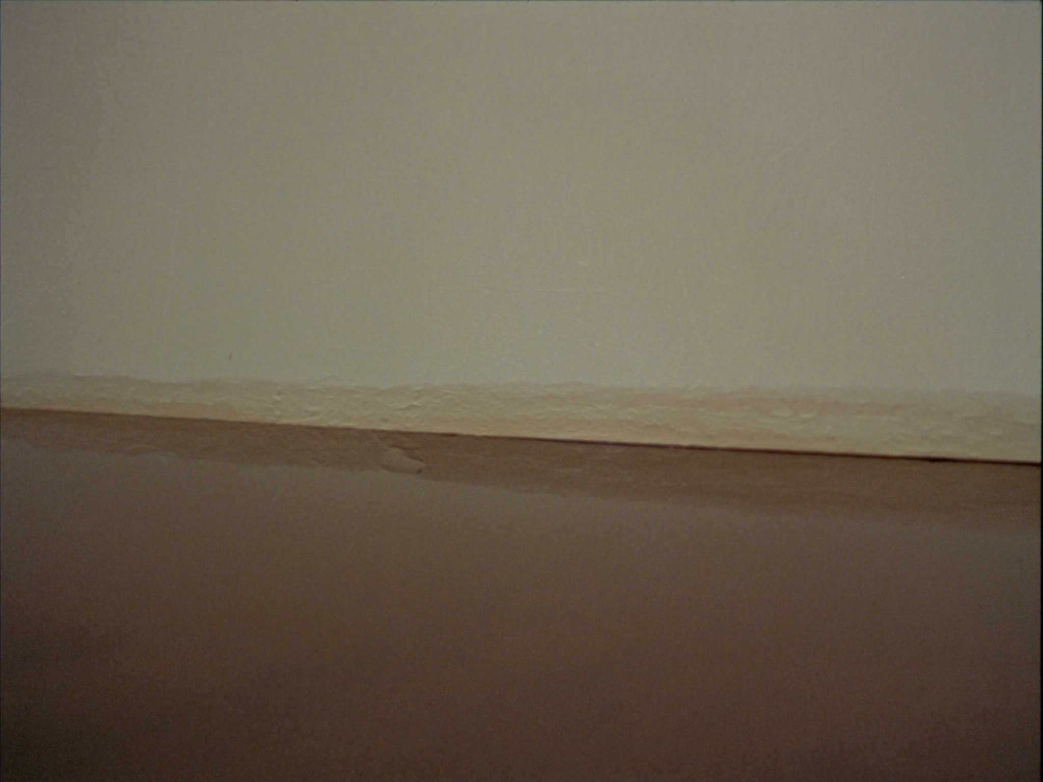 A waterline mark on a house after a flood